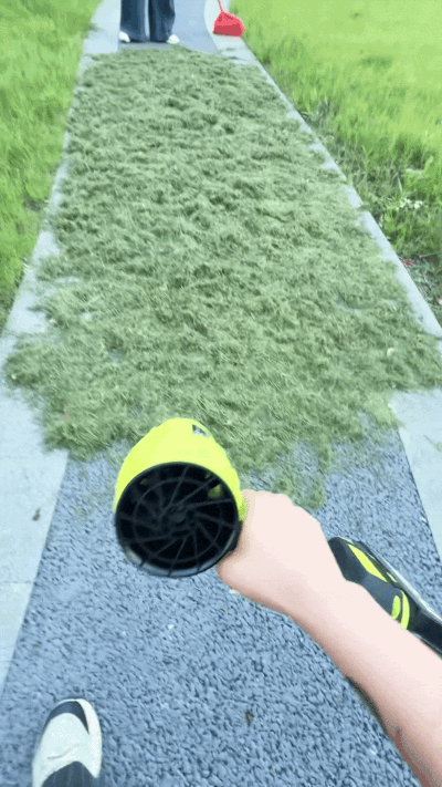 Leaf & Debri Blower